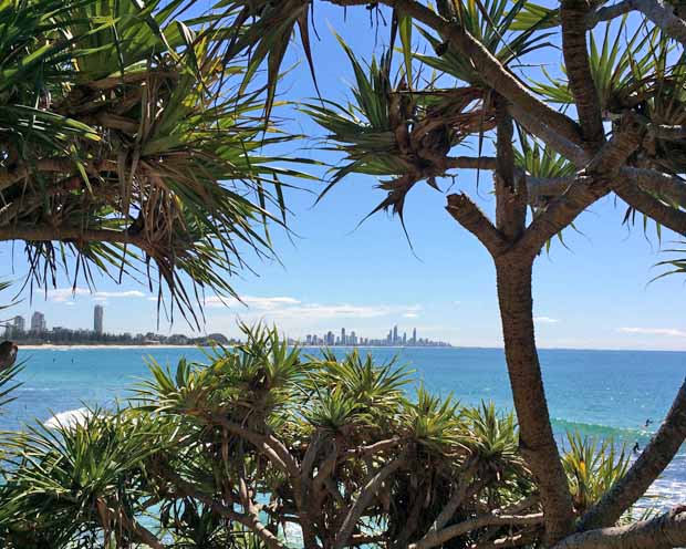 trips from brisbane to Burleigh Heads