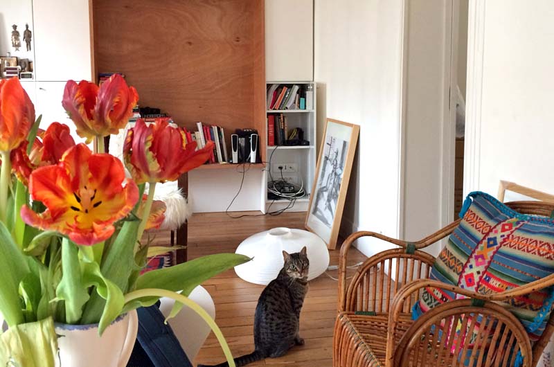 housesitting in Belleville, Paris