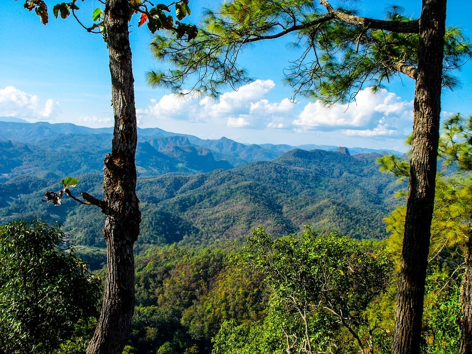 North Thailand Landscape