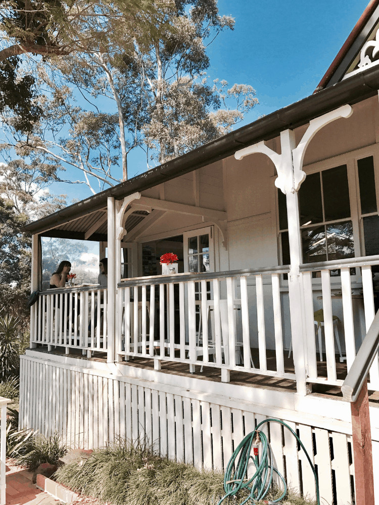 gold coast tours to the hinterland of Mount Tamborine