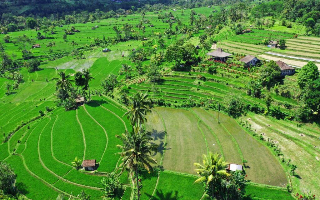 best rice terraces in bali - Sidemen Valley