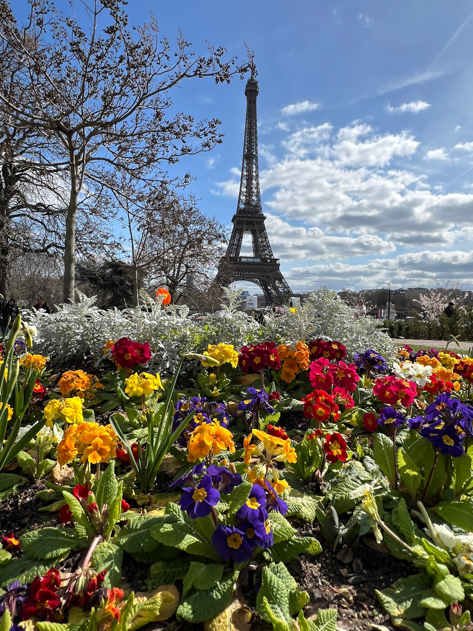 Eiffel Tower view from the Trocadero Gardens 