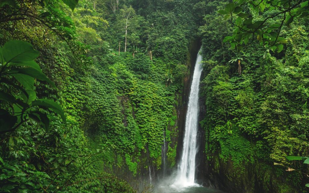 Beautiful and powerful Air Terjun
Munduk waterfall at Bali island, Indonesia.