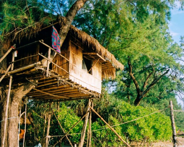 A basic treehouse surrounded by lush trees.