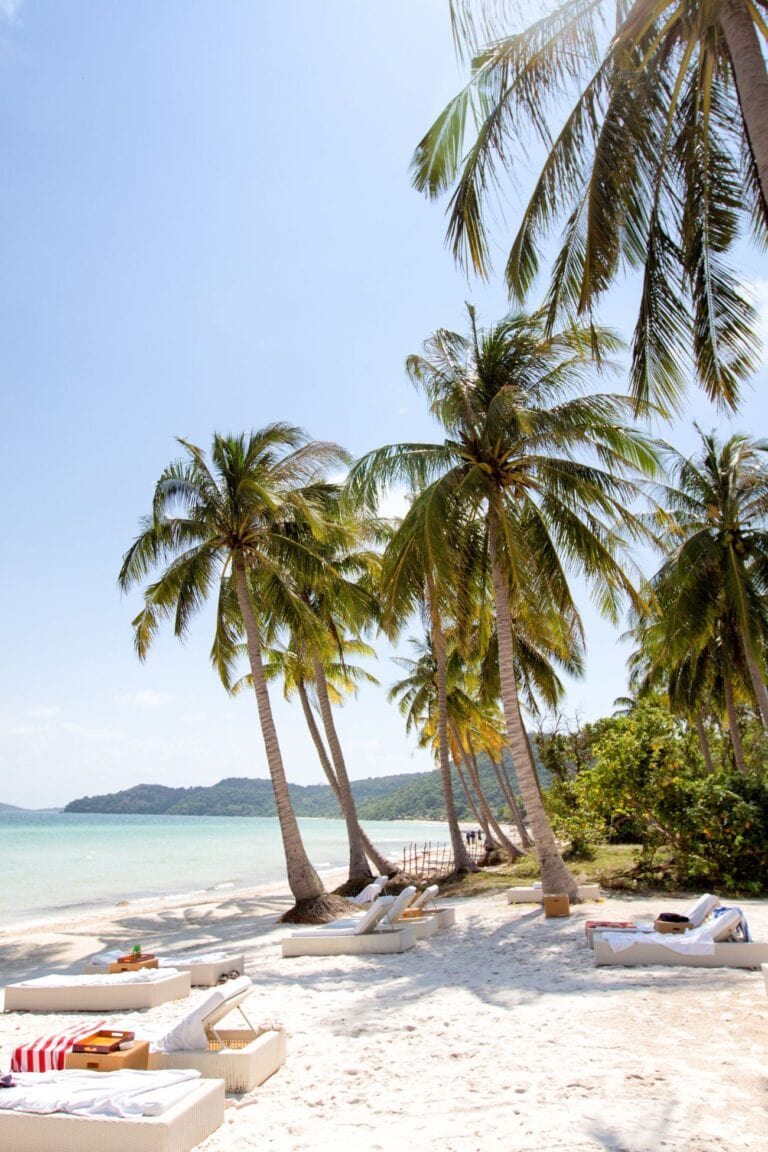 Beachside palm trees and lounge chairs on white sand in Phu Quoc, perfect for relaxing by the ocean.