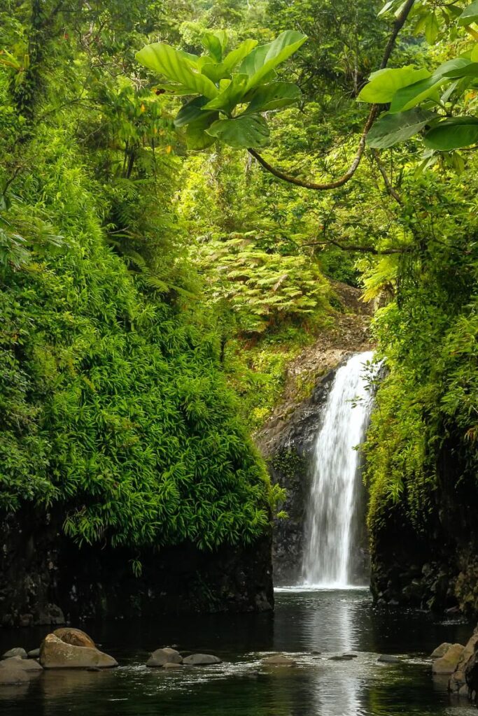 Tavenui Island Fiji